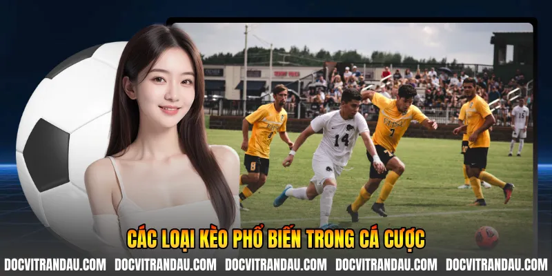 Các loại kèo phổ biến trong cá cược