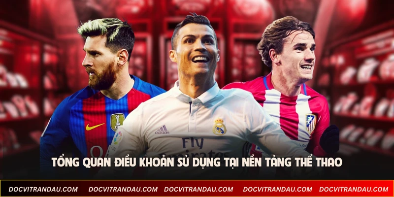 Tổng quan điều khoản sử dụng tại nền tảng thể thao