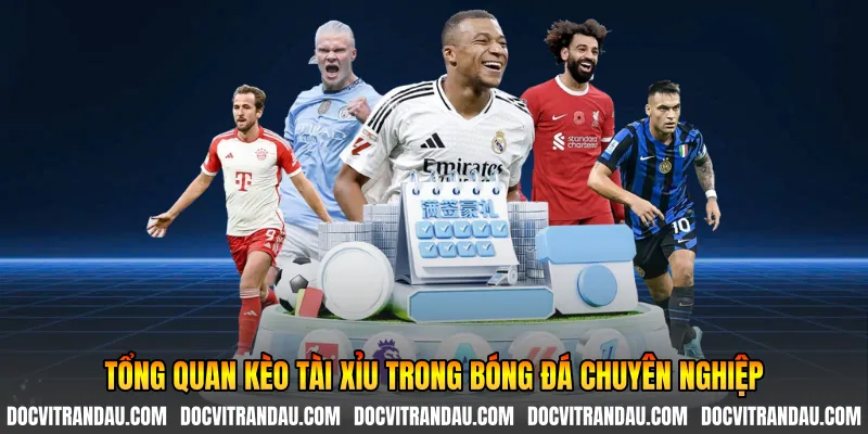 Tổng quan kèo tài xỉu trong bóng đá chuyên nghiệp