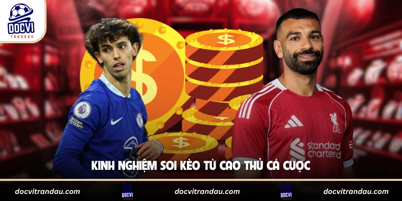 Kinh nghiệm soi kèo từ cao thủ cá cược
